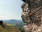 IMG_20200913_130534