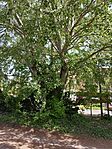 IMG_20240409_113849