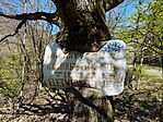 IMG_20240403_111704