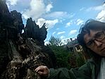 IMG_20240420_151339