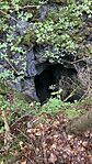 IMG_1757