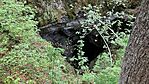 IMG_1771