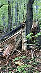 IMG_1772