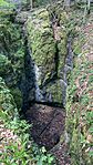 IMG_1794
