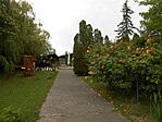 DSCN3129