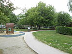 DSCN3133