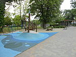 DSCN3135