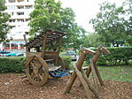 DSCN3139
