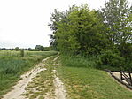 DSCN3161