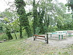 DSCN3163