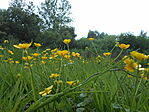 DSCN3167