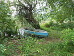 DSCN3169