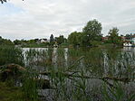 DSCN3175