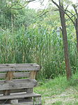 DSCN3177