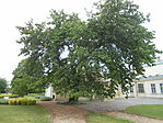 DSCN3279