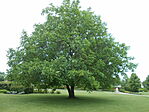 DSCN3280