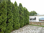 DSCN3278