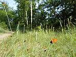 DSCN3369