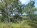 DSCN3392