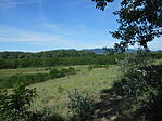 DSCN3393