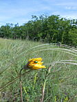DSCN3415