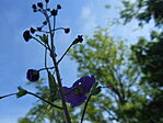 DSCN3418