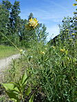 DSCN3432