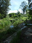 DSCN3433