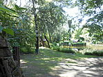 DSCN3461