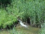 DSCN3467