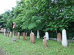 DSCN3510
