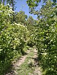 IMG_20240501_121551_1