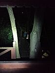 IMG_20240510_224231
