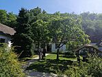 IMG_20240525_094402