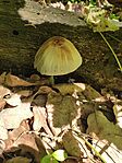 IMG_20240427_142050