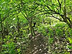 IMG_20240427_145123
