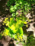 IMG_20240427_143504