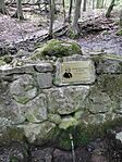 IMG_20240501_154336