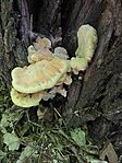 IMG_20240505_091739