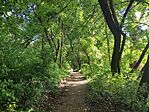 IMG_20240505_091837