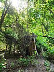IMG_20240505_093943