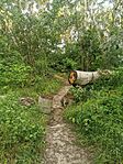 IMG_20240522_191419