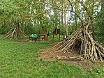 IMG_20240522_192123
