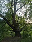 IMG_20240522_193604