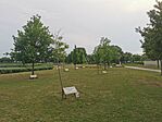 IMG_20240520_191419