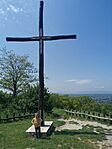 IMG_20240519_131135