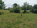 IMG_20240519_131223