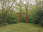 IMG_20240503_102040