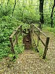IMG_20240503_102144