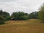IMG_20240503_103133